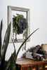Unique Face Head Planter Pot – Modern Black Succulent & Indoor Plant Holder | Artistic Human Face Flower Pot for Home, Office & Garden Decor | Perfect Gift for Plant Lovers