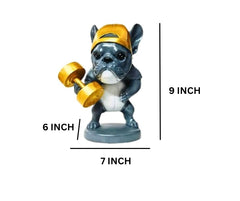 Fitness Dog Statue Decorative Showpiece – Weightlifting Dog Figurine with Dumbbells | Modern Resin Animal Sculpture for Living Room, Bedroom, Office Desk & Shelf Decor