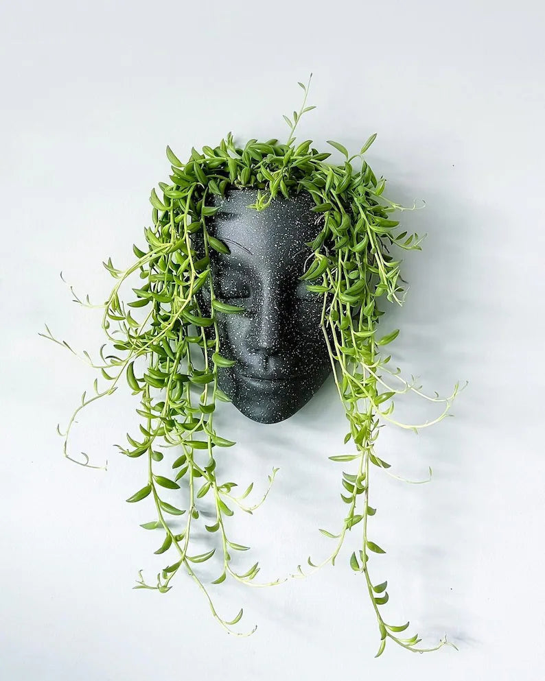 Unique Face Head Planter Pot – Modern Black Succulent & Indoor Plant Holder | Artistic Human Face Flower Pot for Home, Office & Garden Decor | Perfect Gift for Plant Lovers